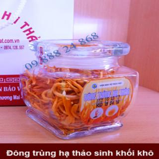 Đông trùng hạ thảo sinh khối gạo lứt khô đóng lọ 10 g