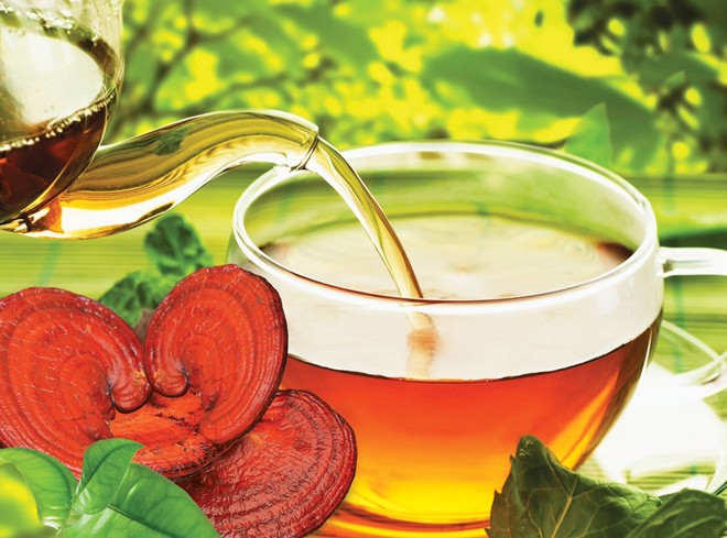 Nấm linh chi nấu nước uống nuoc-uong-linh-chi