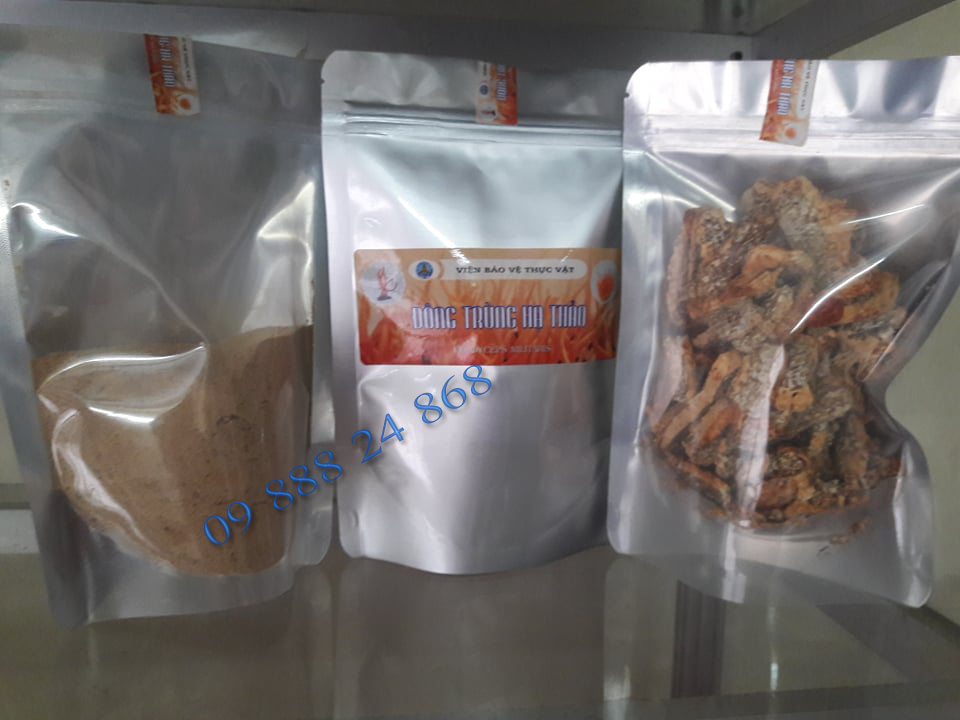Đế đông trùng hạ thảo viện Bảo Vệ Thực Vật